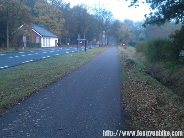 荷兰自行车道-1