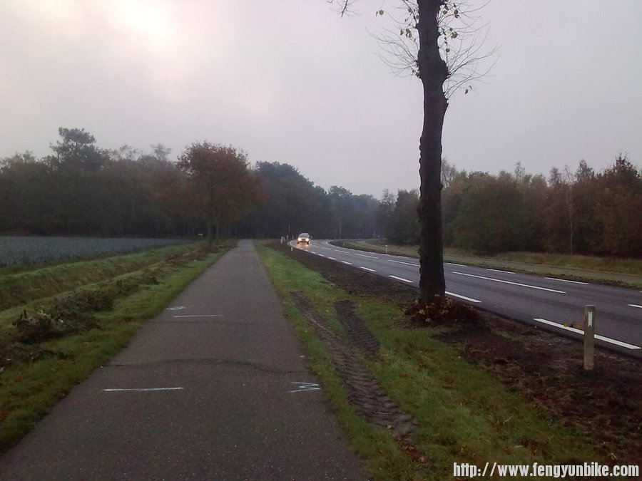 荷兰自行车道-3
