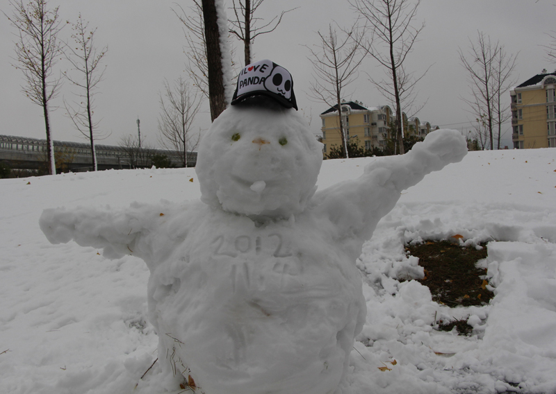 我制作的大雪人.jpg