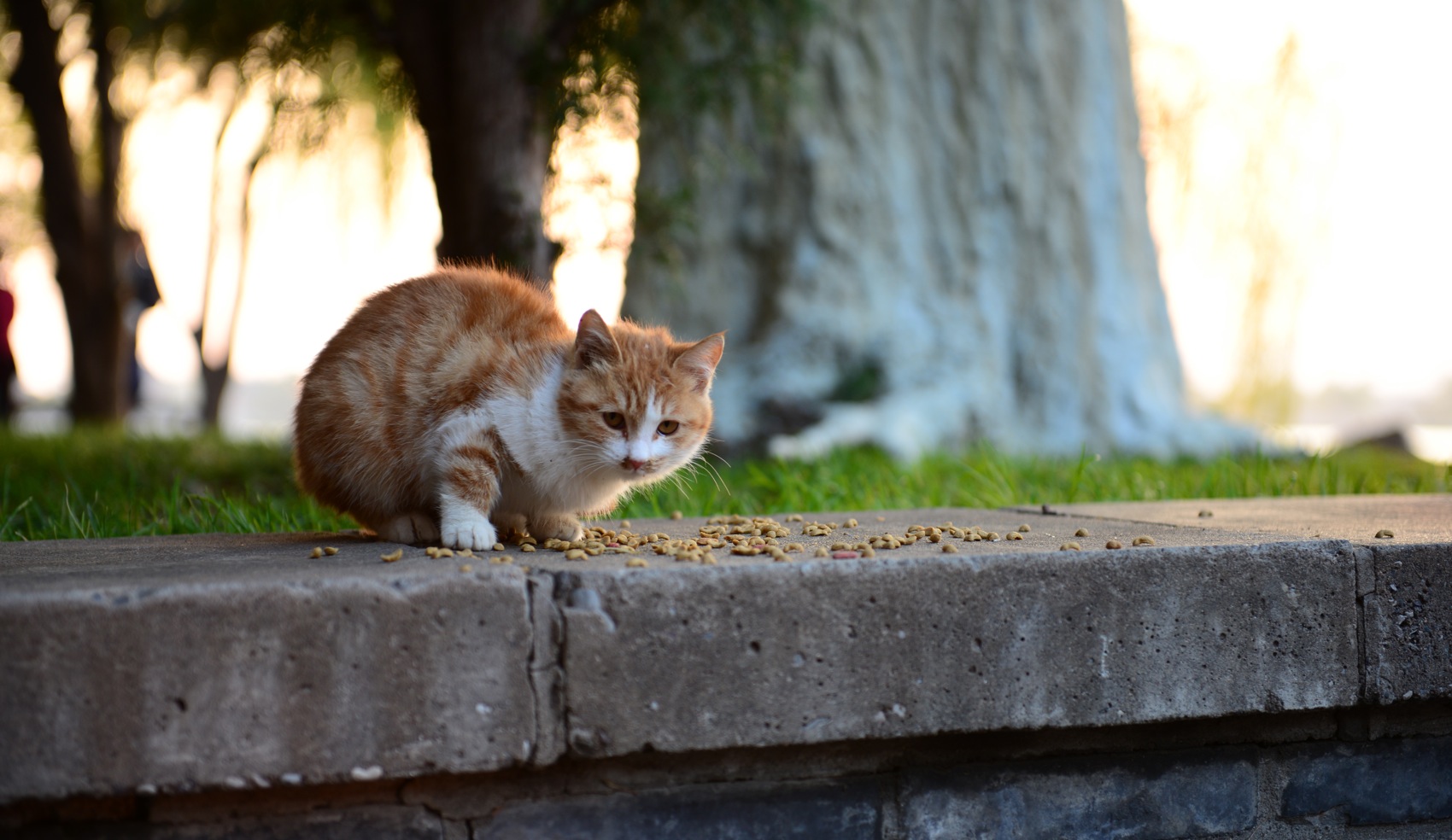 DSC_2191.JPG