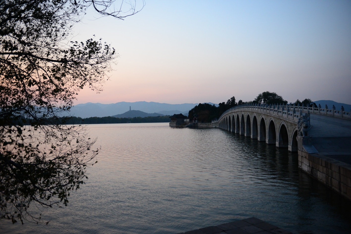 DSC_2264.JPG