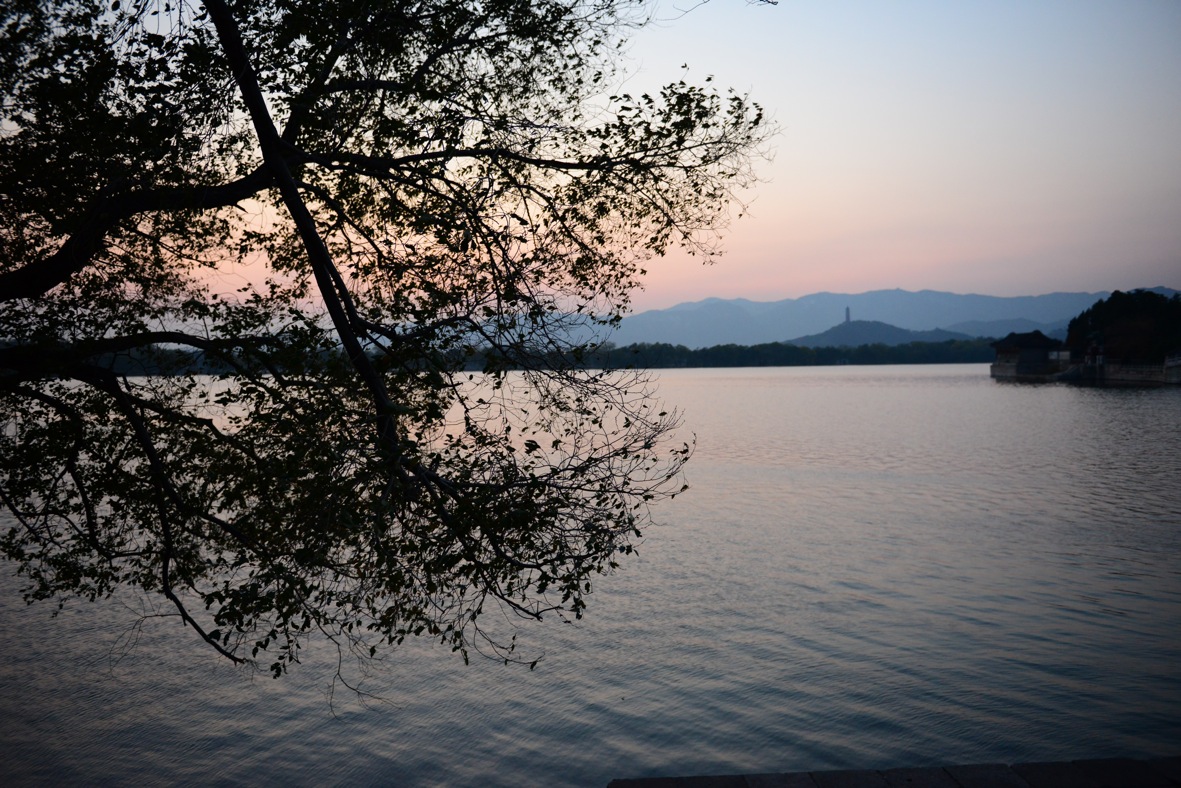 DSC_2266.JPG
