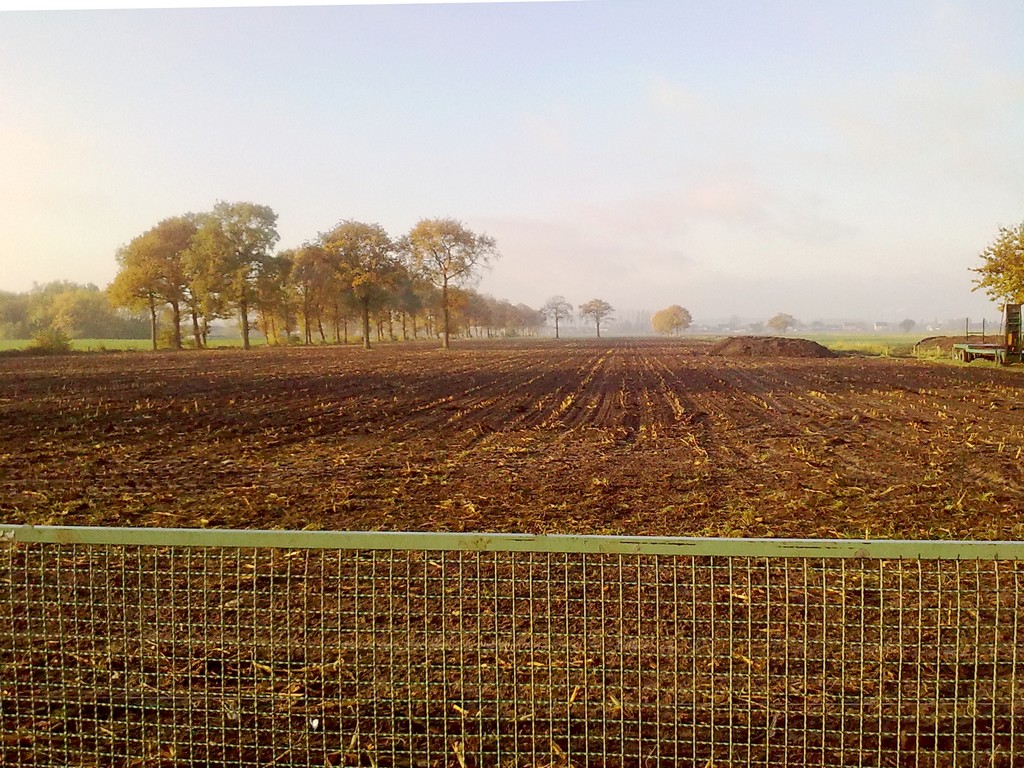 远处是安特卫普港