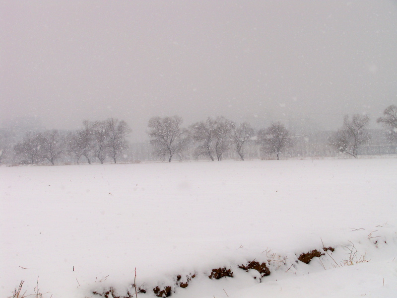【匆匆】小村之雪.JPG