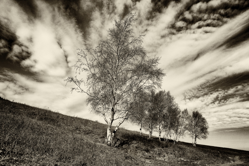 【fulcrum-29】 骑行灵山 2012年10月5日.JPG