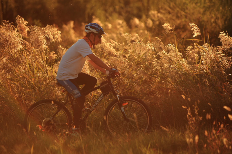 【旗帜】 幔纱轻舞醉夕阳.JPG