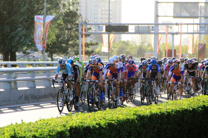 【绿行乐游】 期待.JPG