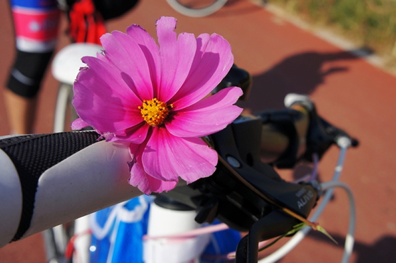 【天使艾美丽】 休闲时光    拍摄影时间10月1日 15：00 地点：莲石路附近.JPG.jpg