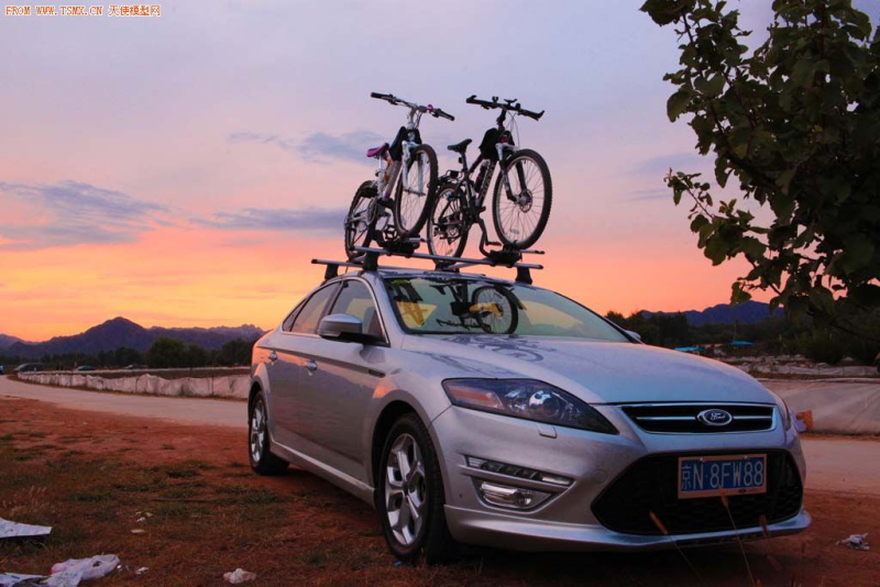 sinocat-风韵4 4.JPG