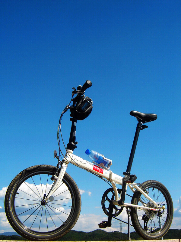 大高个儿 伟岸的小折.JPG