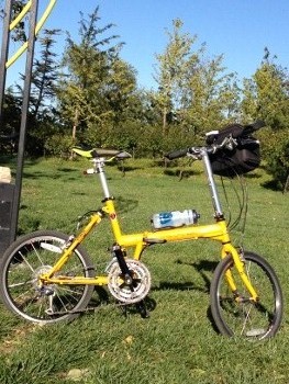 IMG_0791 (350x263).jpg