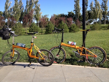 IMG_0780 (350x263).jpg