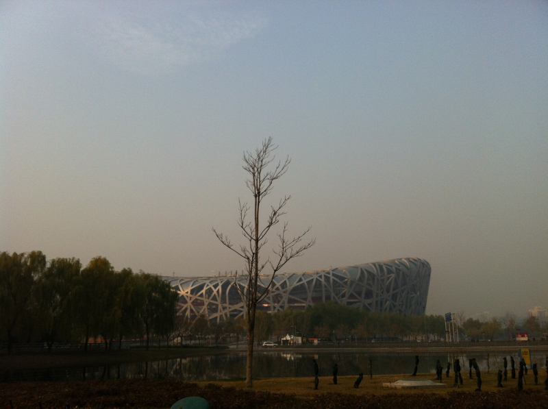 鸟巢！~