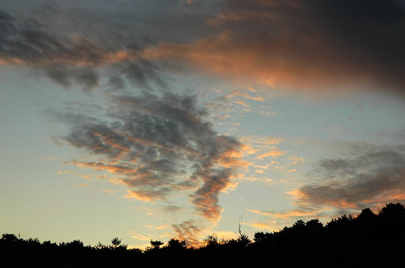 DSC_5610.JPG