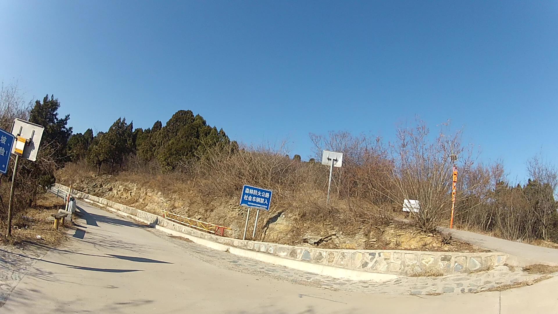 终于到了四棵树