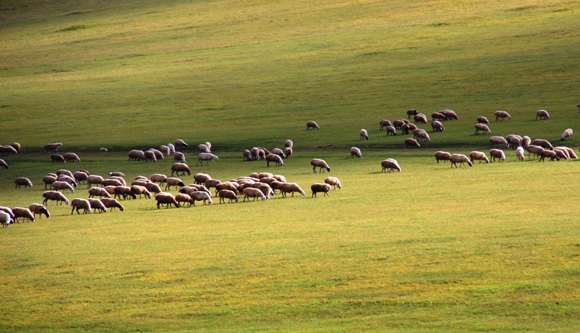 bj安东 锡林郭勒盟和呼伦贝尔1.jpg
