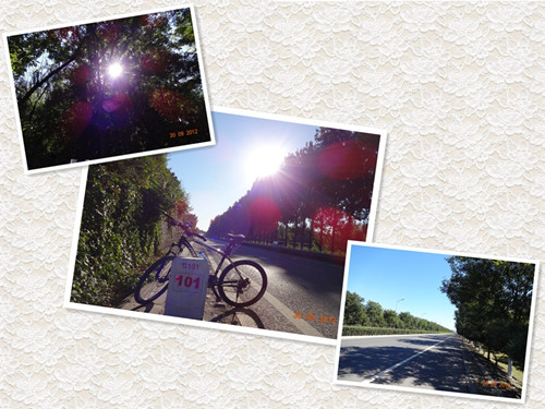 为了忘却的纪念