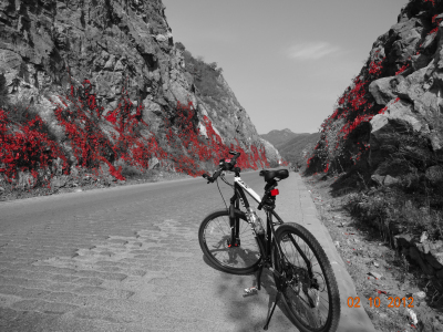 为了忘却的纪念