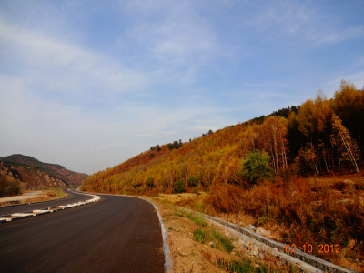 为了忘却的纪念