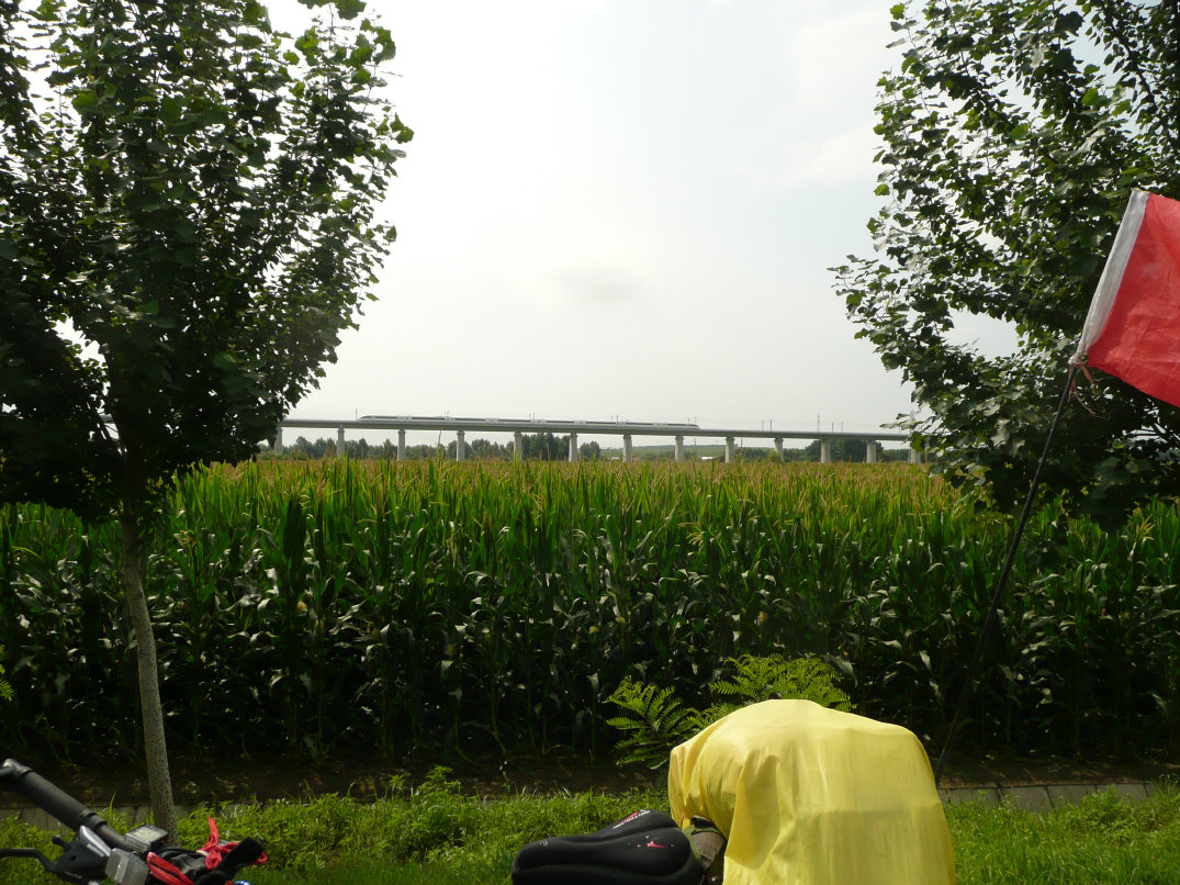 停在高架桥上的高速列车。