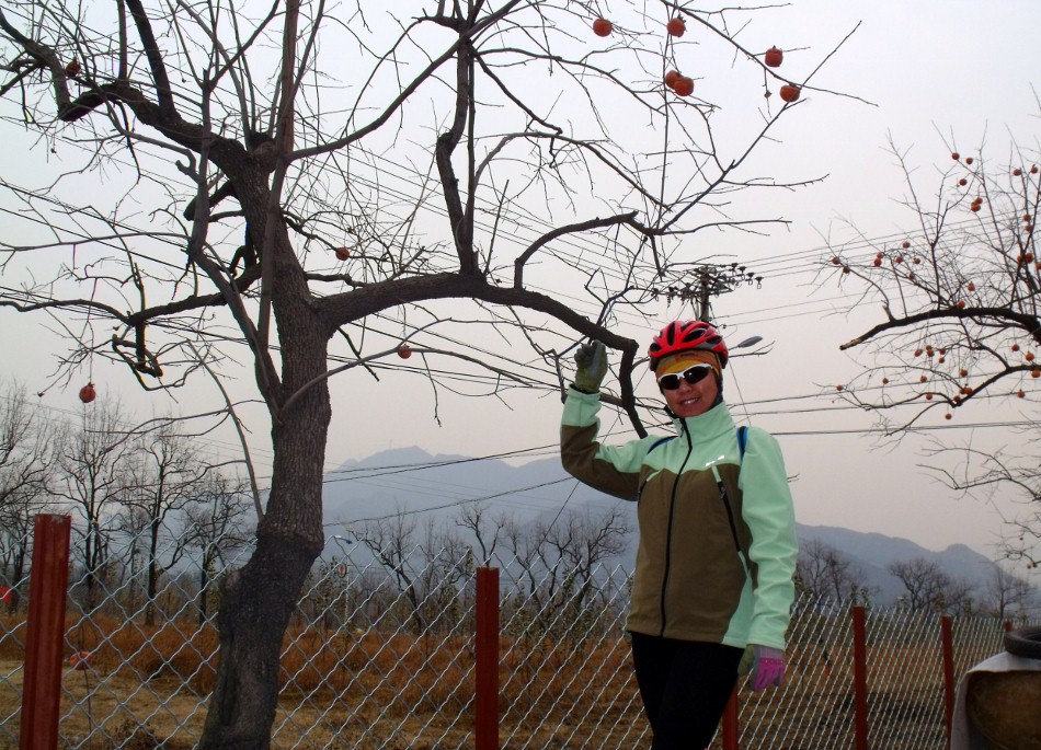 DSCF5304 (950x685).jpg