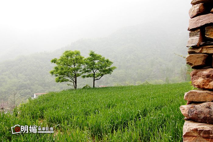 DSC_9008副本.jpg
