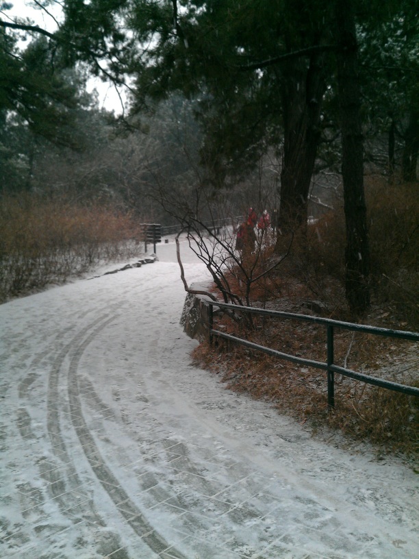 下大雪还是有很多脚印
