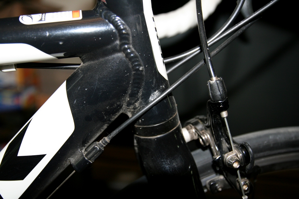 热身及TREK 029-1.jpg