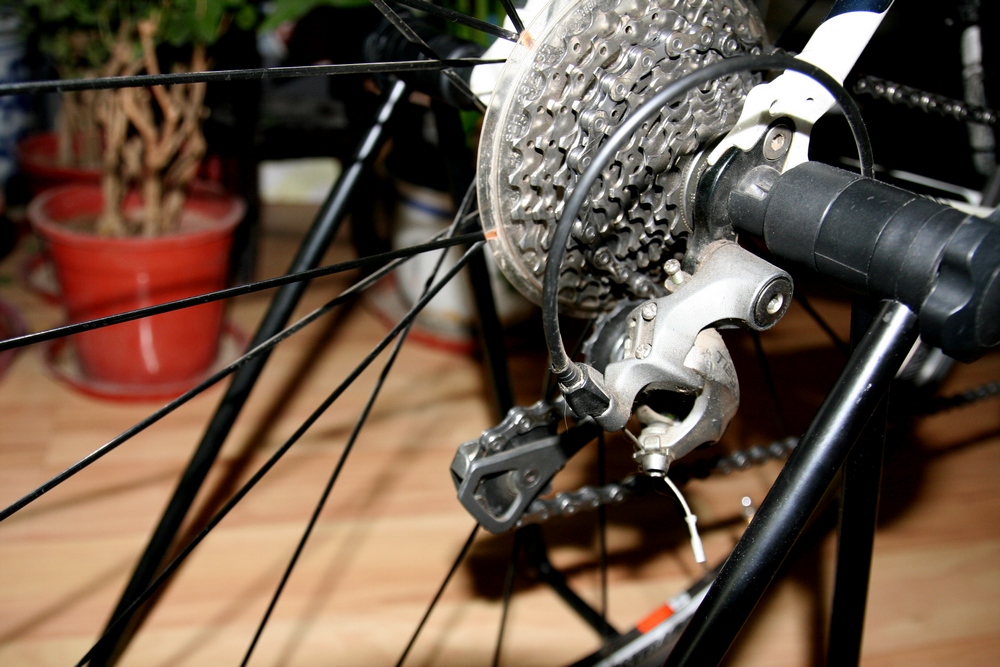 热身及TREK 033-1.jpg