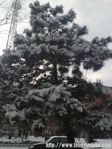 20121229023 拷贝.jpg