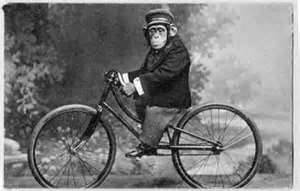 chimpanze_riding_a_bike.jpeg