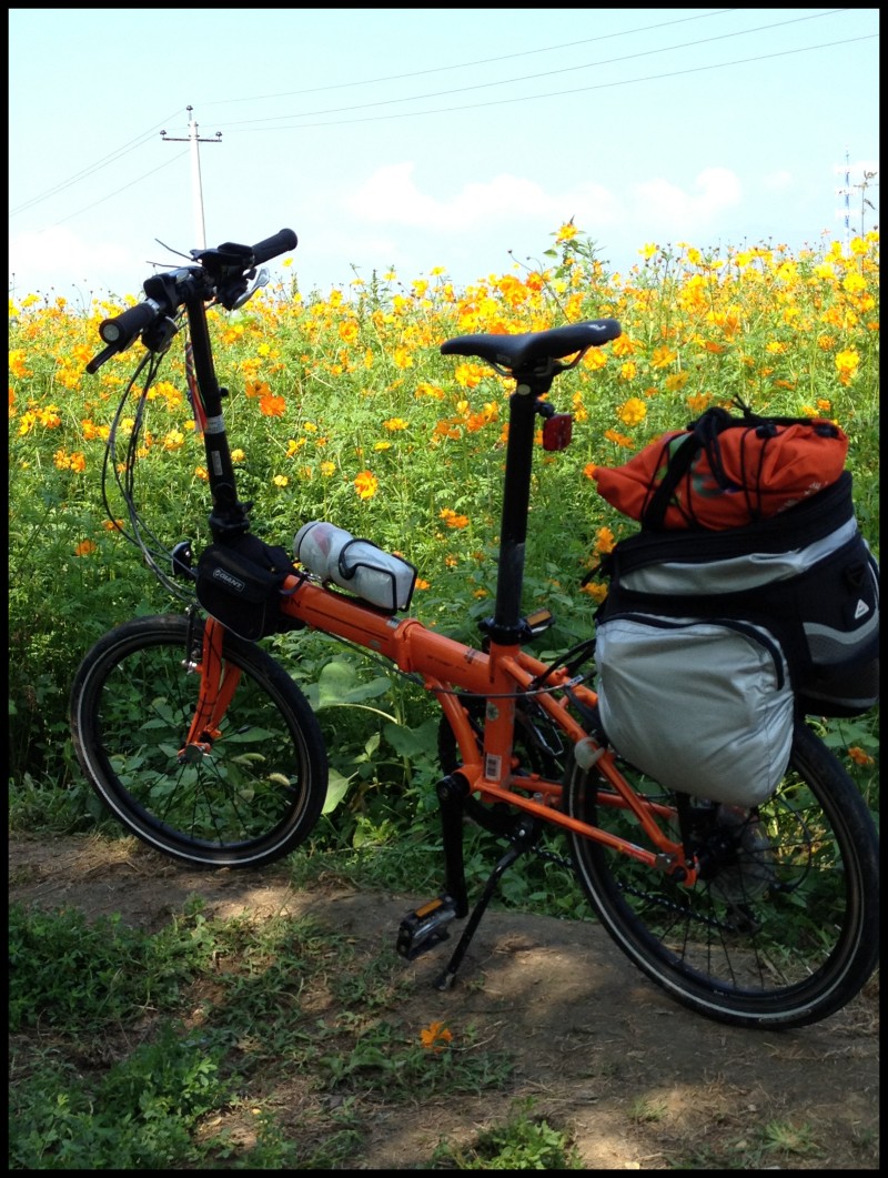 conew_白河堡-柳沟 263.jpg