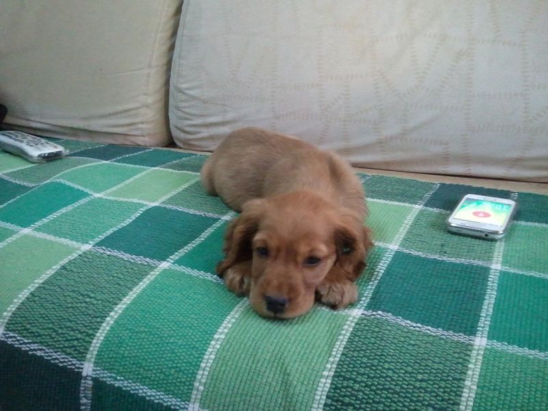 nEO_IMG_1502_2013010315414400_2013-01-03 15.41.45.jpg