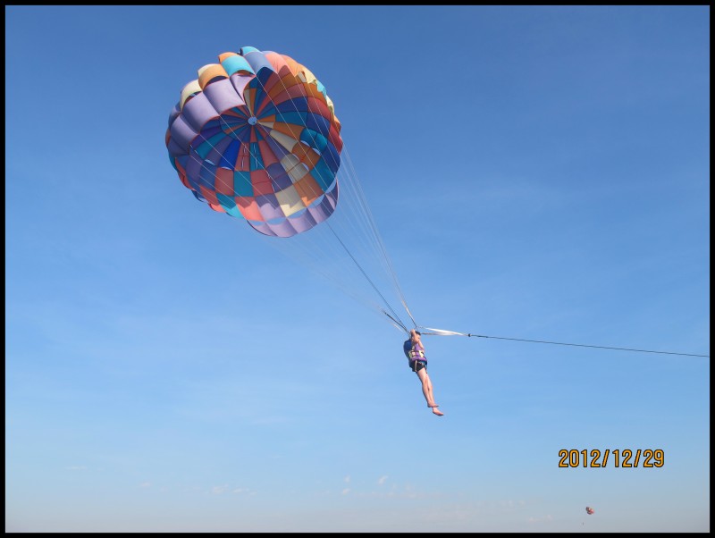 conew_照片 231.jpg