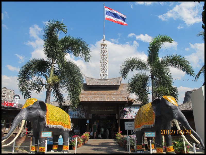 conew_照片 353.jpg