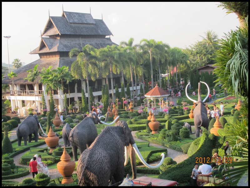 conew_照片 380[1].jpg