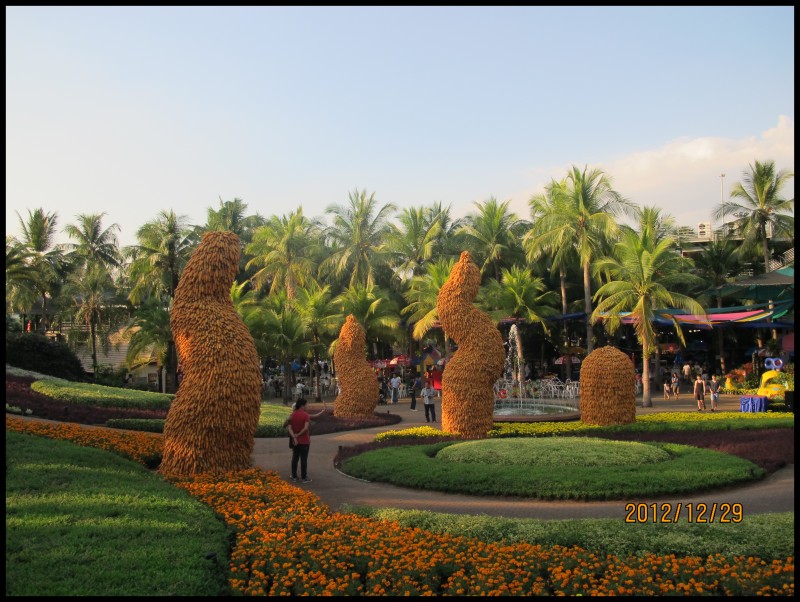 conew_照片 381.jpg