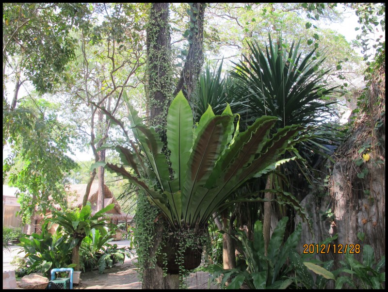 conew_照片 178.jpg