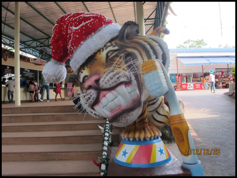 conew_照片 167.jpg