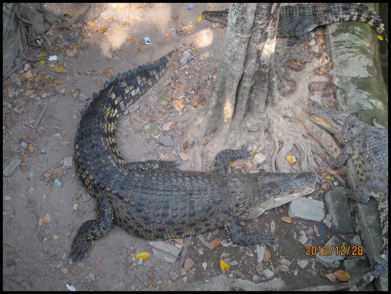 conew_照片 169.jpg