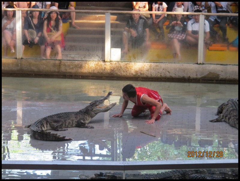 conew_照片 183.jpg