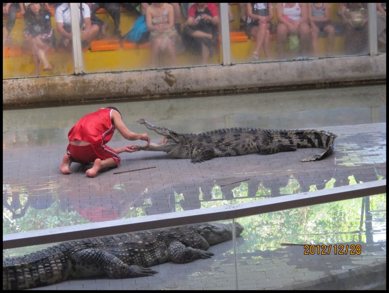 conew_照片 188.jpg