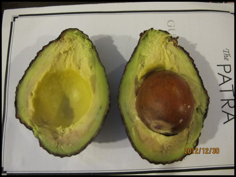 conew_照片 451.jpg