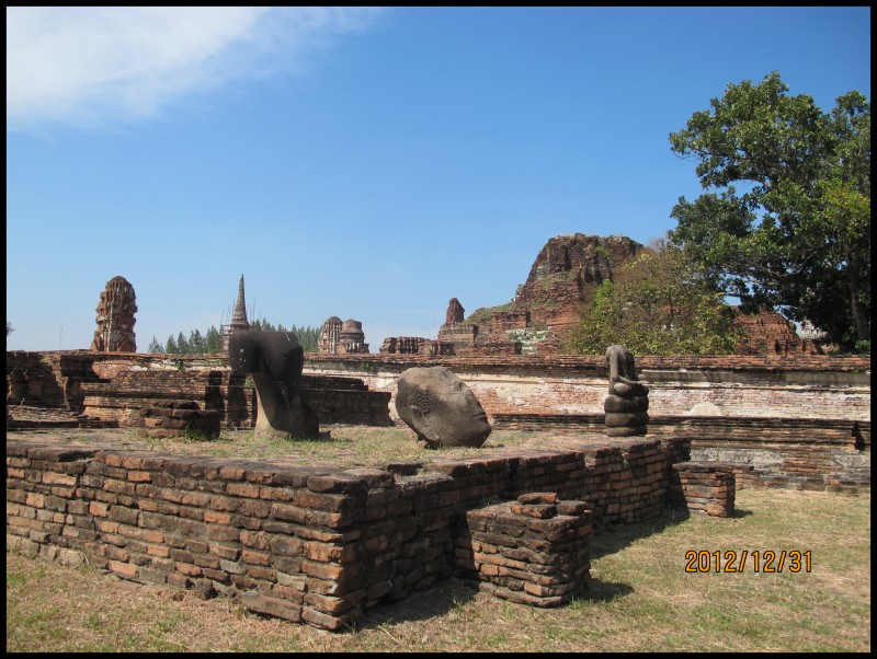 conew_照片 509.jpg