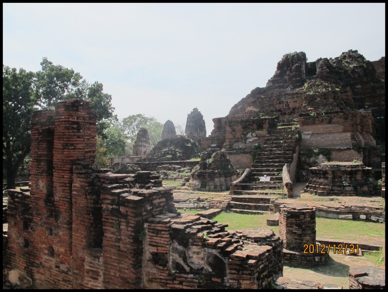 conew_照片 523.jpg