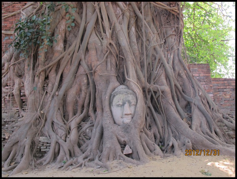 conew_照片 511.jpg