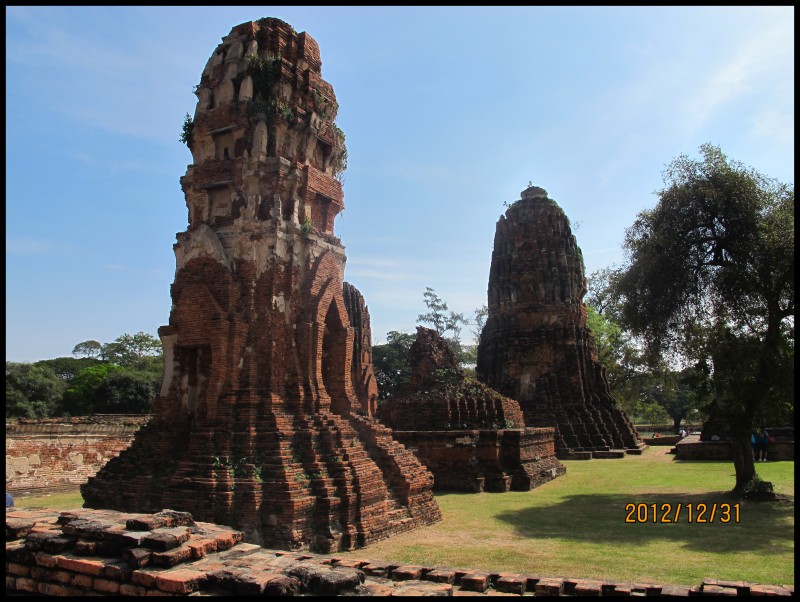 conew_照片 531.jpg