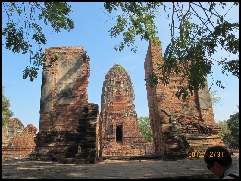 conew_照片 539.jpg