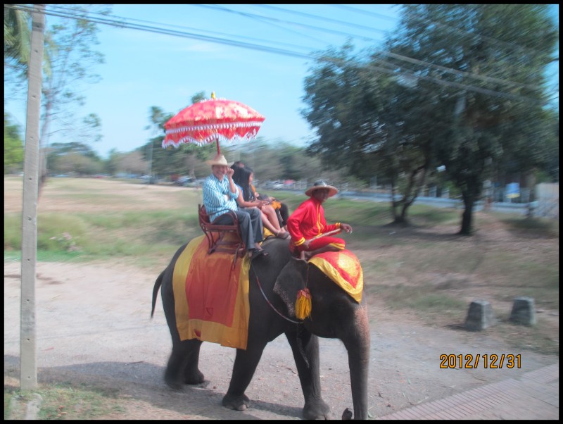 conew_照片 569.jpg