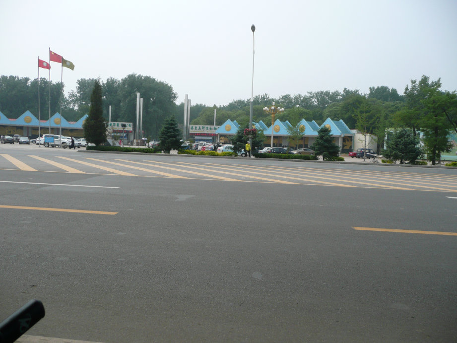 这里面有很多大老虎